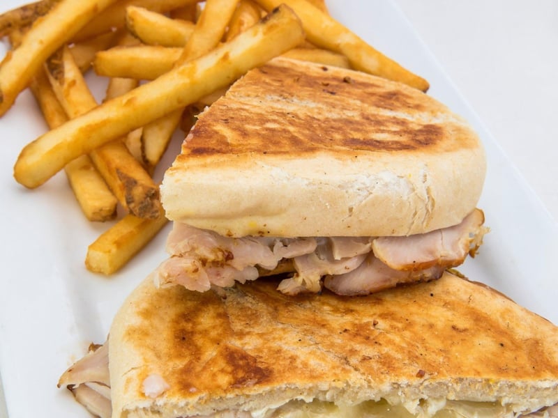 The melted turkey panini with fries