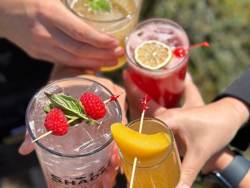 Cocktails at Shades Bar and Grill on Highway 30A