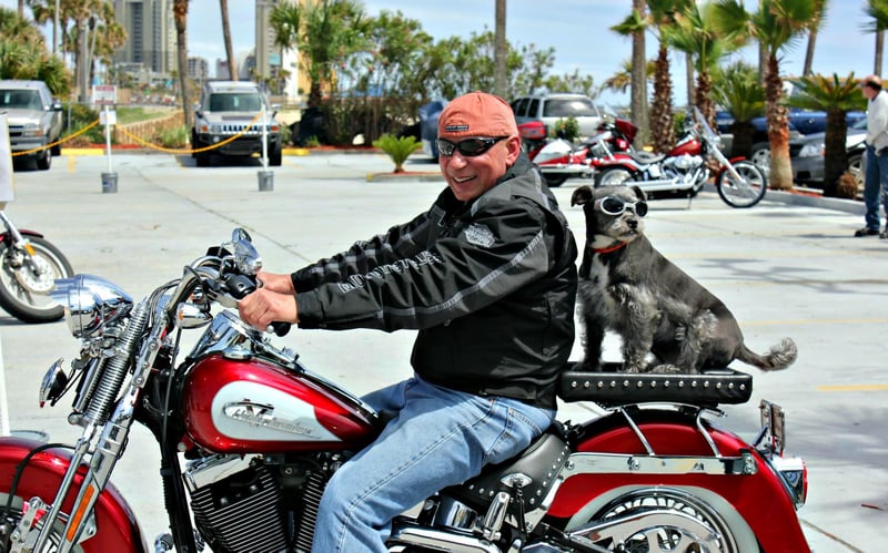 785545 Biker And Dog 2 At The Chateau In Pcb