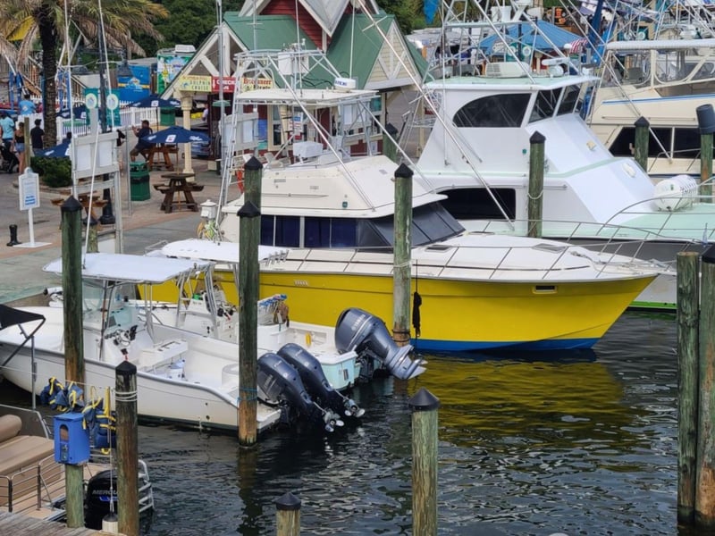 811273 Charter Boat Starfire At Harborwalk Marina In Destin, Florida