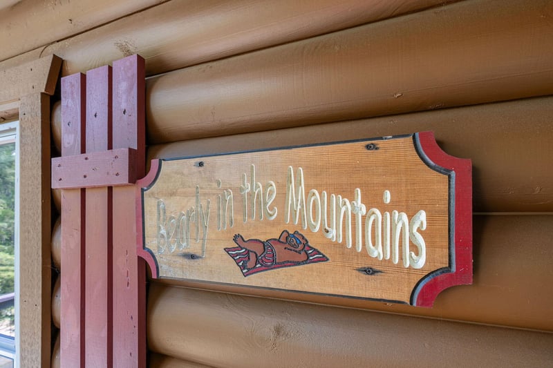 bearlyinthemountains3