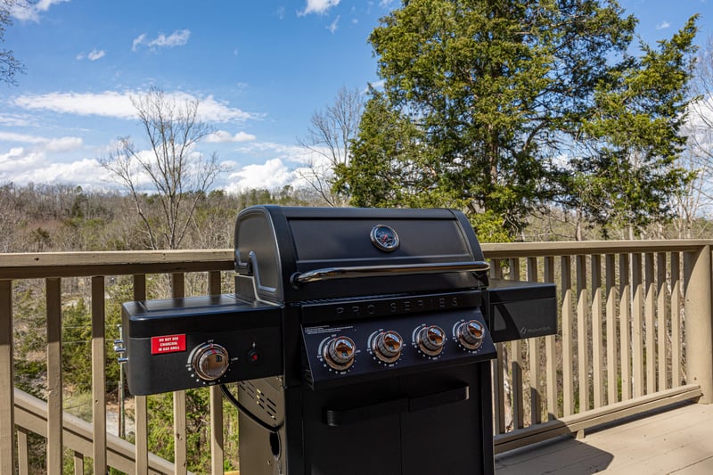 Grill Hoop Dreams Lodge