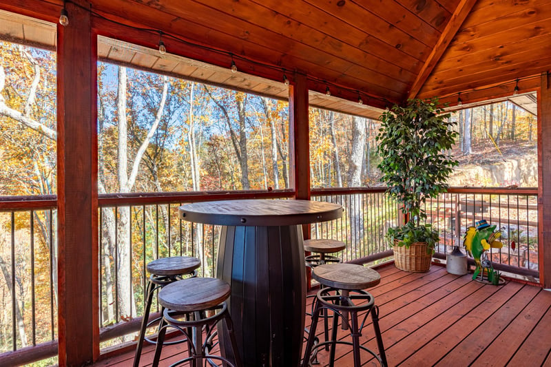 Pub Table on Screened In Porch at Anglers Ridge