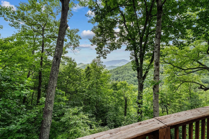 mountainmoonshine25
