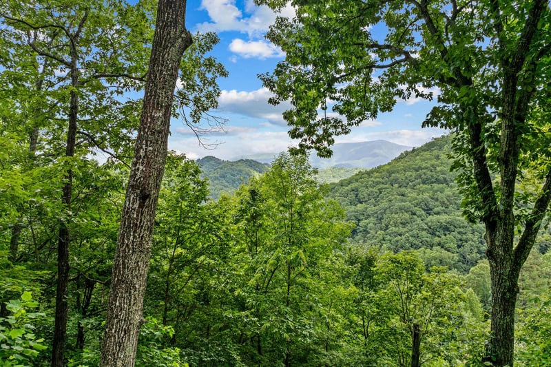 mountainmoonshine26