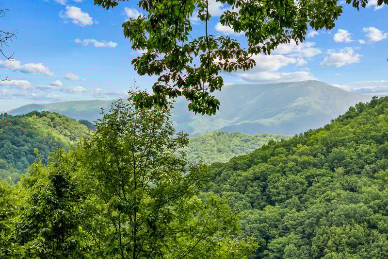 mountainmoonshine28