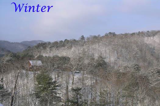 Winter View