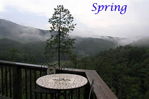 Spring View from Rear Deck