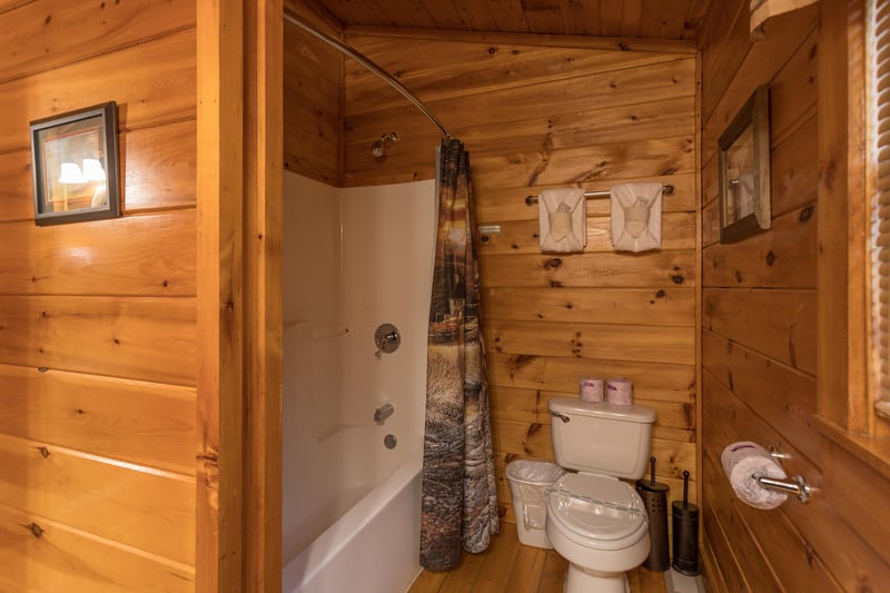 second bathroom with a tub and shower at always  forever a 1 bedroom cabin rental located in pigeon forge