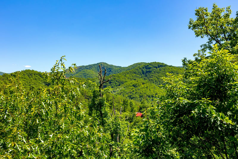 View at Moonbeams  Cabin Dreams, a 3 bedroom cabin rental located in Pigeon Forge