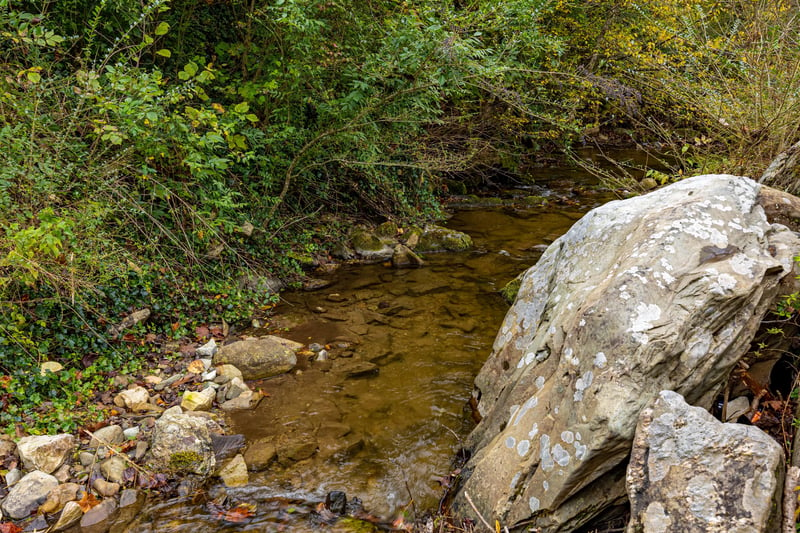 The creek at Tammys Place At Baskins Creek