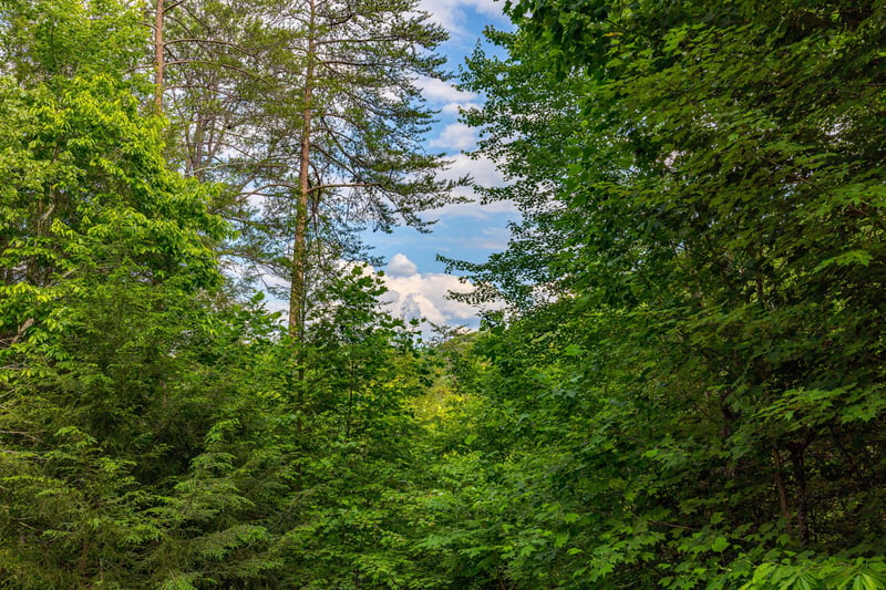 View from deck at Cloud 9, a 1 bedroom cabin rental located in Pigeon Forge