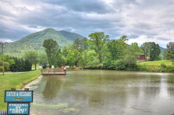 Honeysuckle Meadows Pond Area