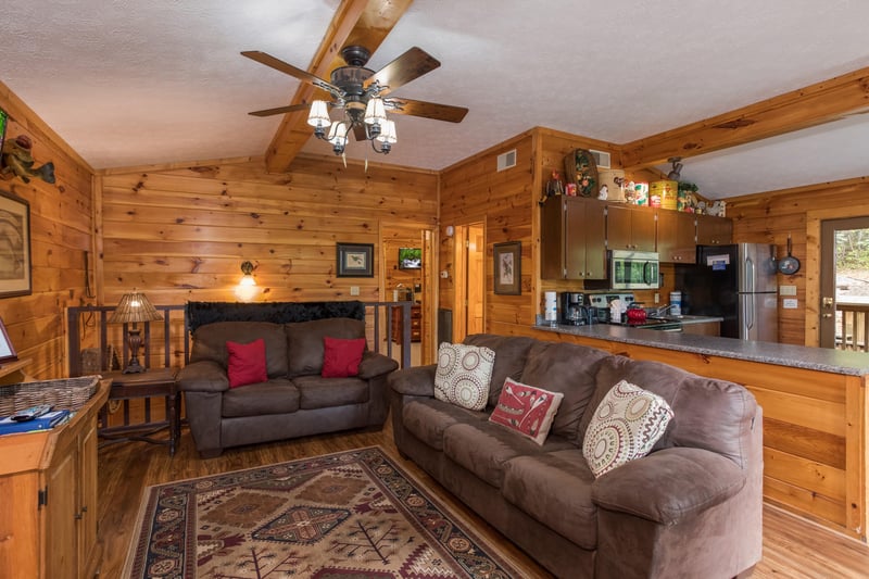 Sofa and loveseat at Birds Eye View, a 2bedroom cabin rental located in Gatlinburg