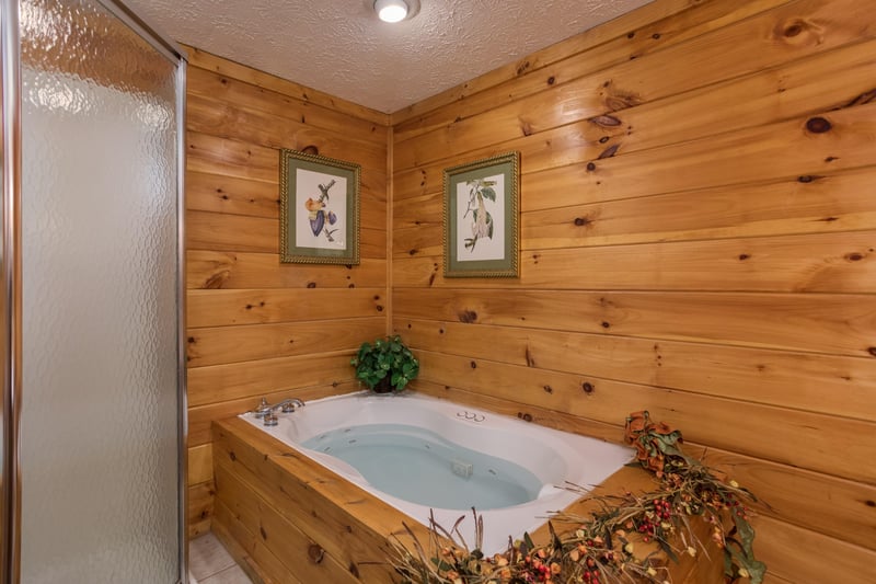 Jacuzzi in a bedroom at Birds Eye View, a 2bedroom cabin rental located in Gatlinburg