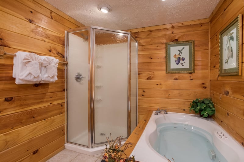 Jacuzzi and shower stall at Birds Eye View, a 2bedroom cabin rental located in Gatlinburg