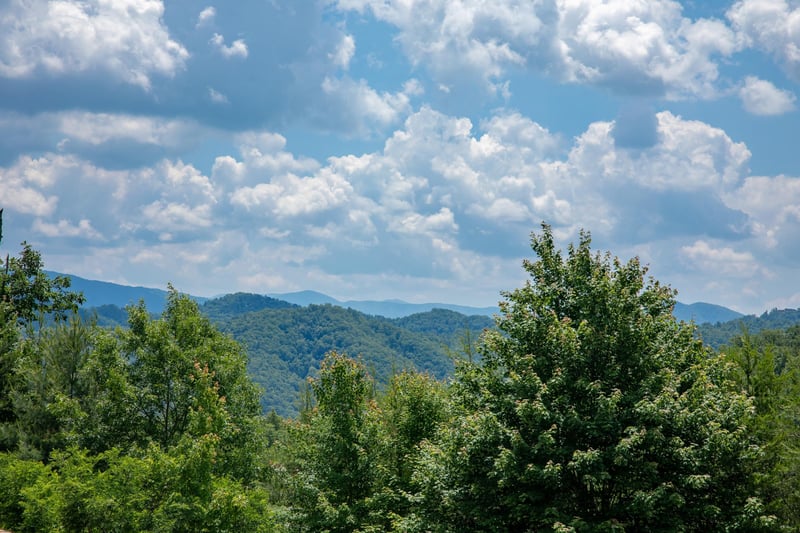 Mountains and trees from the deck at Gods Country, a 4 bedroom cabin rental located in Pigeon Forge