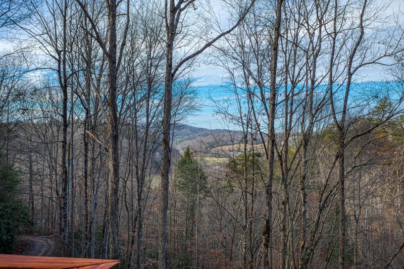 Winter views through the trees at Moonshiners Ridge, a 1bedroom cabin rental located in Pigeon Forge