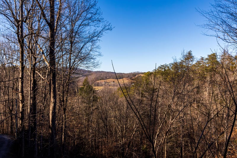 Near Moonshiners Ridge, a 1bedroom cabin rental located in Pigeon Forge