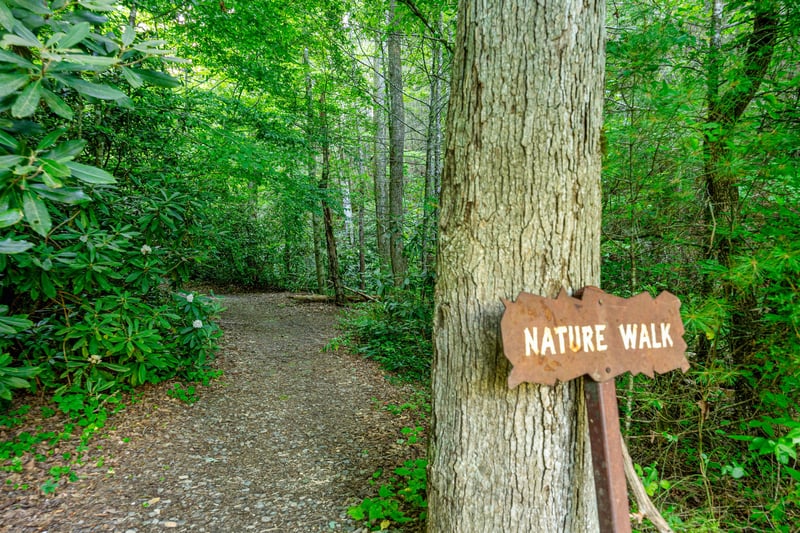 Cedar Fall Resort Trail