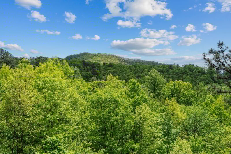 wildwoodrefuge17