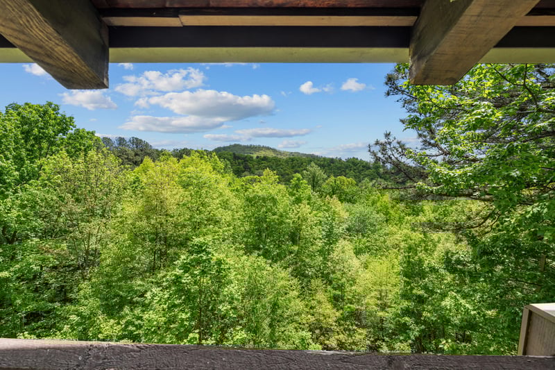 wildwoodrefuge16