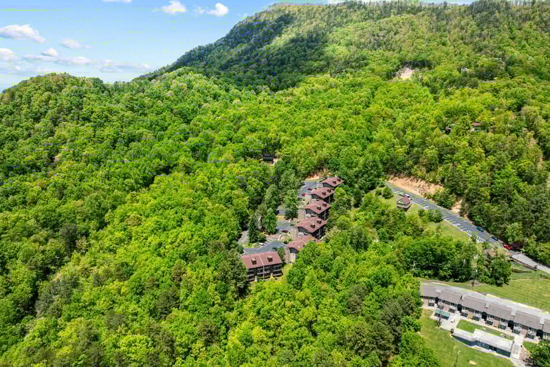 wildwoodrefuge22