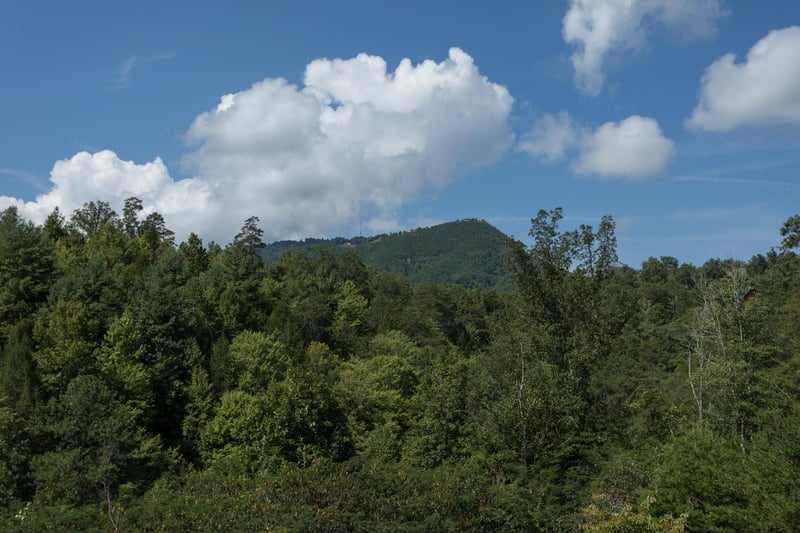 Mountain view with trees below at Cabin Fever, a 4bedroom cabin rental located in Pigeon Forge