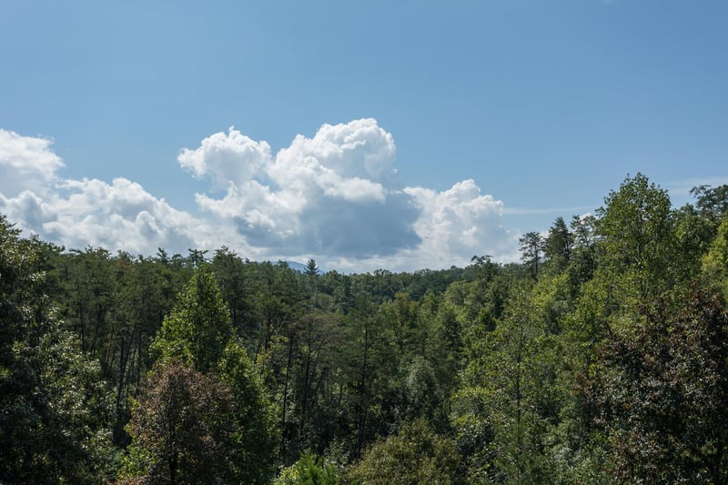 Looking into the woods at Cabin Fever, a 4bedroom cabin rental located in Pigeon Forge