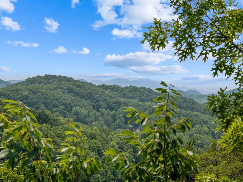 DJI_20250604142140_0020_D