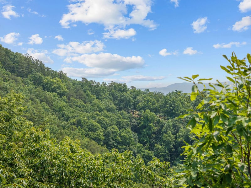 DJI_20250604142151_0025_D