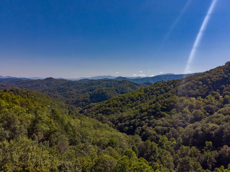 Black Bears  Biscuits Lodge, a 6 bedroom cabin rental located in Pigeon Forge